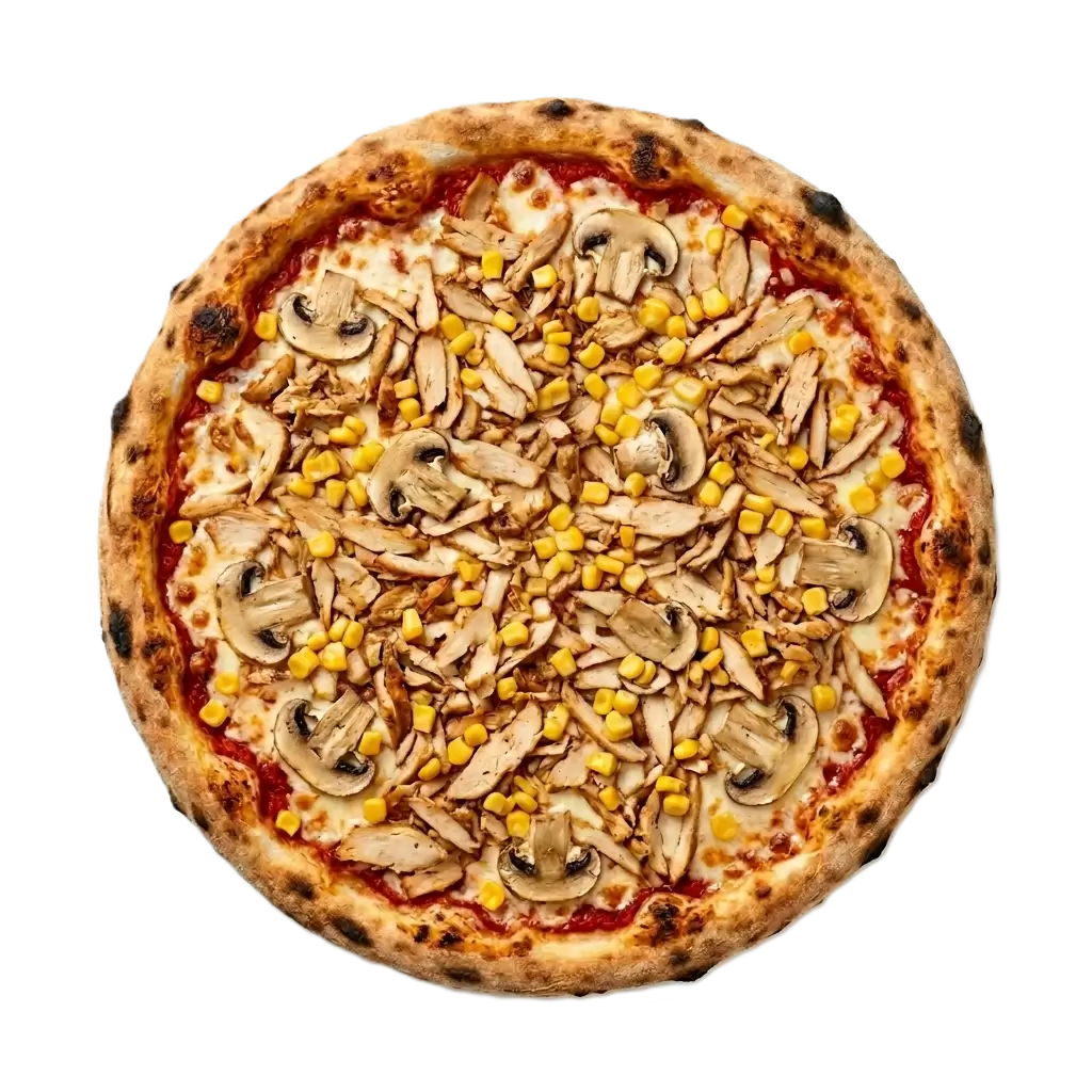 PIZZA TAVUK DÖNER